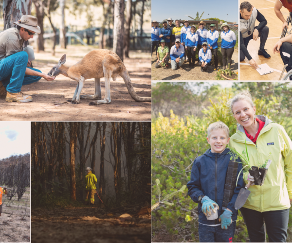 Volunteering in Australia Image