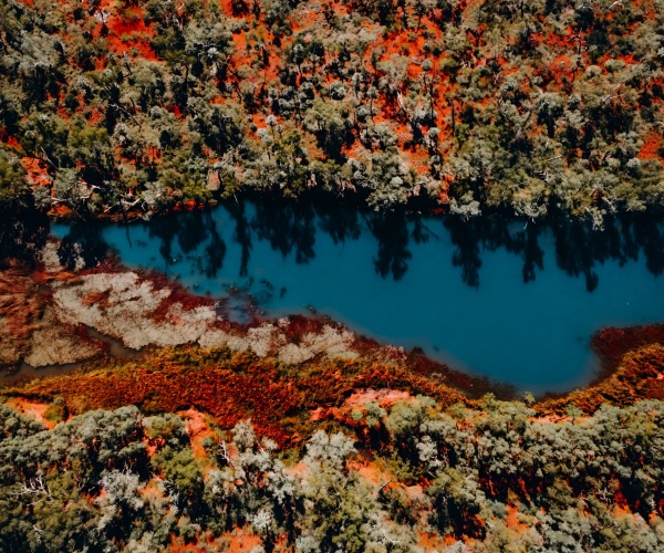 The State of Volunteering in WA Image