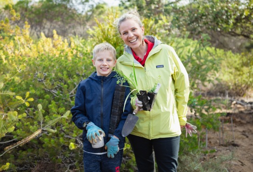 2025 WA State Election Volunteering Priorities Image