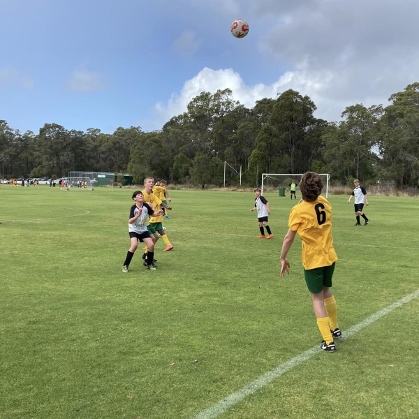 Group of children playing soccer together on a field