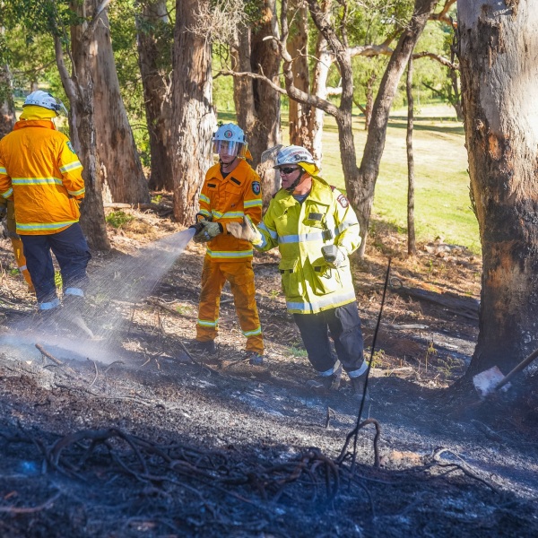 Group of firefighters in yellow and orange high visibility uniforms doing tasks like spraying water and digging around trees