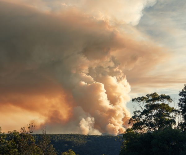 Preparing for Spontaneous Emergency Volunteers Image