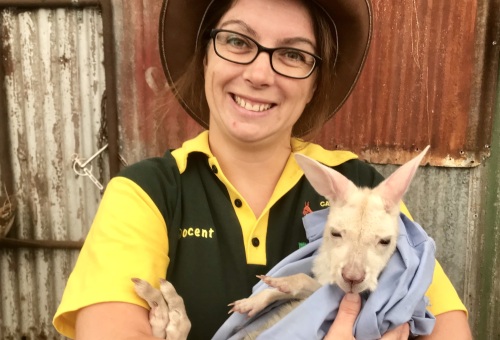 Caversham Wildlife Park’s first volunteer celebrates 20 year milestone Image