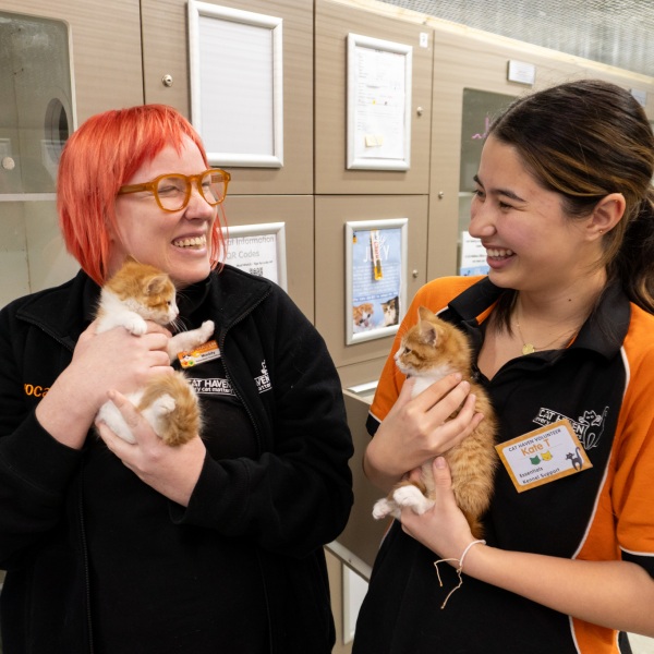 Two women holding kittens at Cat Haven WA